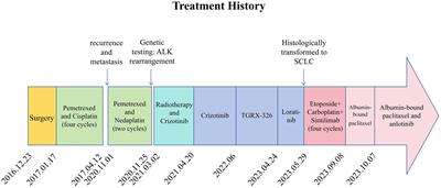 ALK-rearranged and EGFR wild-type lung adenocarcinoma transformed to small cell lung cancer: a case report